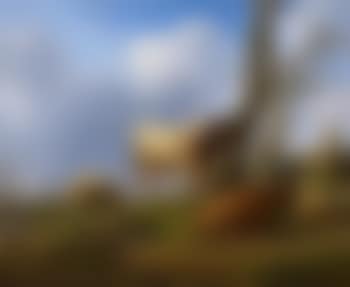 Der Bulle (preview)
