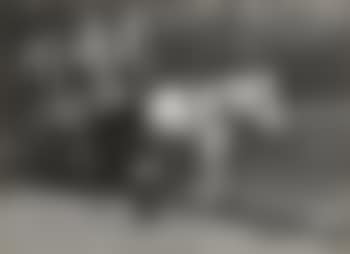 New York City Horse And Cart Under El (preview)