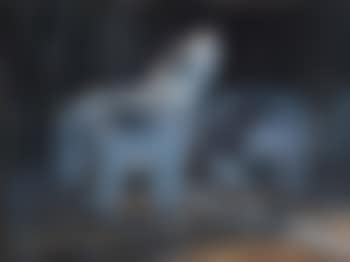 Spirit of the timber (preview)