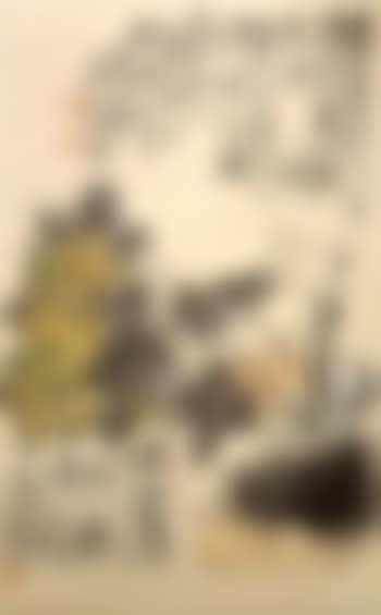 Chrysanthemum (preview)