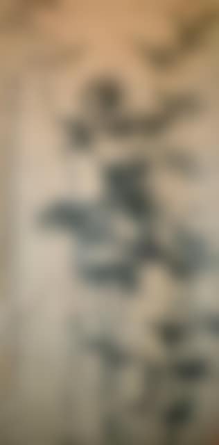 Bamboo and stone (preview)
