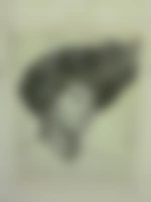 Portrait of a Woman wearing a Fashionable Hat (preview)
