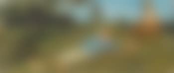 Kinder auf Wiese. (preview)