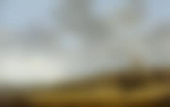 Weite Dünenlandschaft mit Staffage und Kirche im Hintergrund (preview)