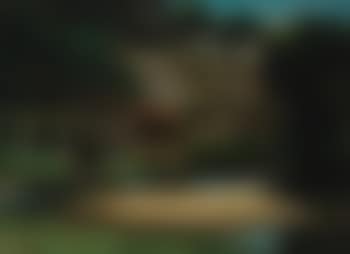 Le Moulin (preview)
