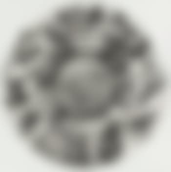 Music Box Tondo (preview)