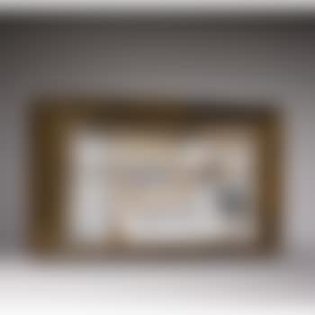 The Zodiacal Light (preview)