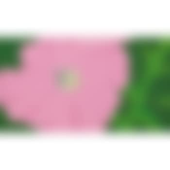 Pink Petunia #2 (preview)