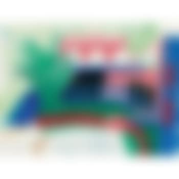2907 Montcalm Avenue (My House In Blue And Red) (preview)