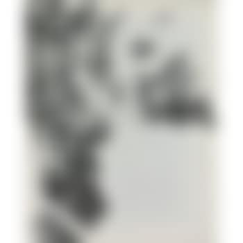 Discount Marilyn (preview)