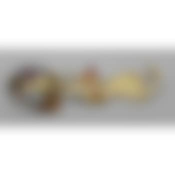 Ruyi 6 (preview)
