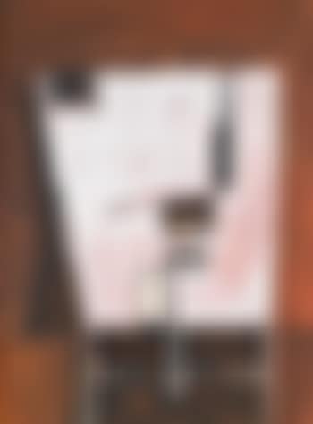 Untitled (Bottle And Pan) (preview)