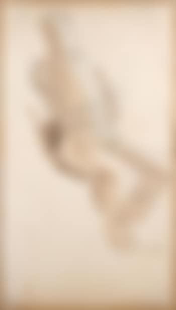 Portrait de chef mongol (preview)