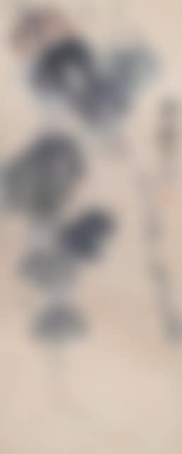 Grapes (preview)