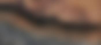 Paysage aux vaches (preview)