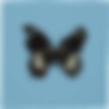 Love is a Stranger (preview)
