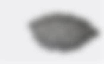 Palpebra (preview)