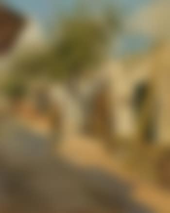 Tunisi, il gelso (preview)