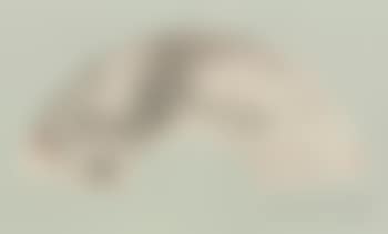 Man in a boat on a river (preview)