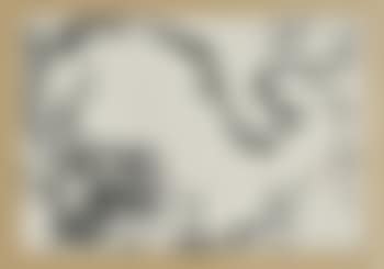 Plum flower branch (preview)