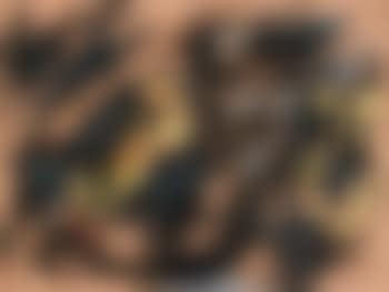 Untitled (preview)
