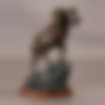 The warrior (preview)