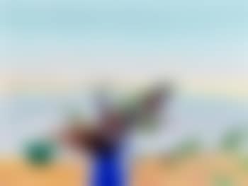 Untitled still life (preview)