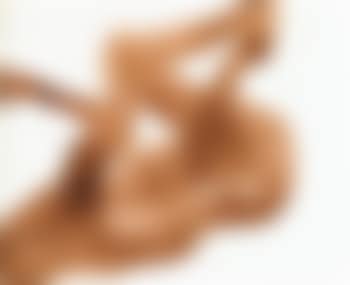 Santa Fe nudes (#23 and #72) (preview)