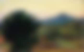 Paesaggio (preview)