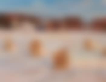 Farm near Aylwin. Landscape (preview)