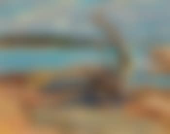 Morris Island - split rock in distance (preview)
