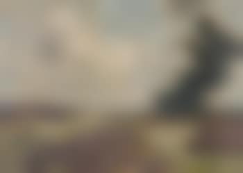 Promeneur à la fagne (preview)