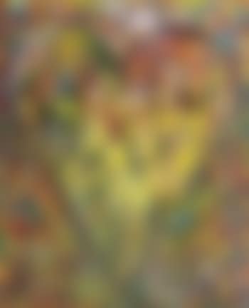Hartz' butterfly (preview)