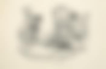 Boule et Bill (preview)