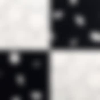 3 trames strip-teasing (0°-30°-60°) 4 fois noir et blanc (preview)