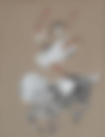 Bareback dancer (preview)