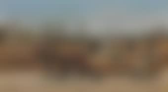 Cotton Pickers (preview)