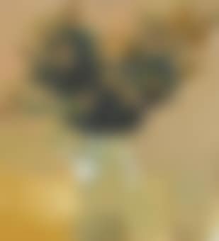 Bowl of Goldenrod (preview)
