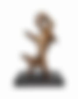 Squelette D'oiseau (preview)