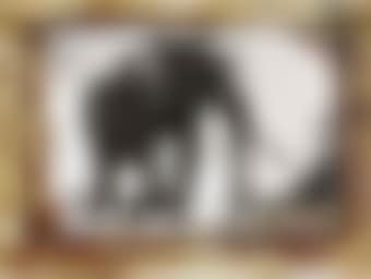 Large Tusker, circa 110-115 pounder, near Kattremula on the Tiva Sand River, Tsavo North, February 1965 (preview)