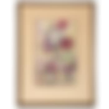 Spotted petunias (preview)