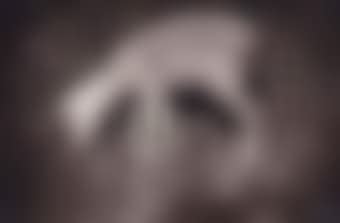 Untitled (Sheep grazing) (preview)