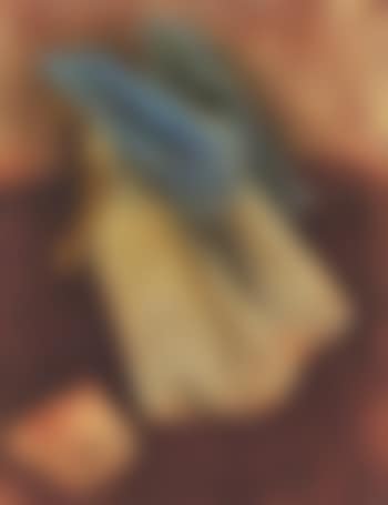 Caminantes (preview)