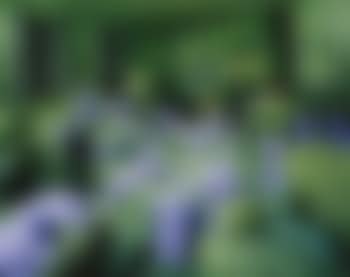 The Green House, 1990 (preview)