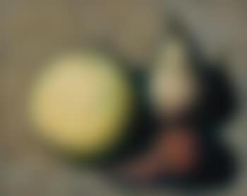 Still Life (preview)