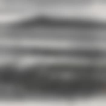 Birds in a landscape (preview)
