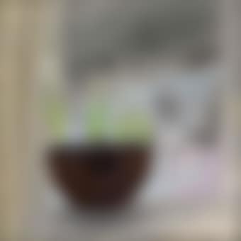 Candlemas II (preview)