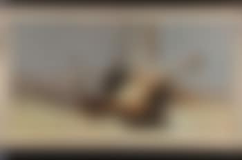 Natura morta (preview)