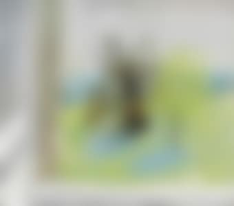 Spring and Autumn, Corsham (preview)