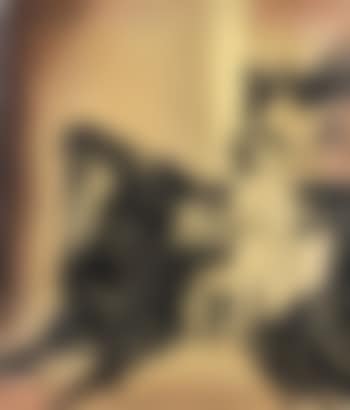 Tableau De Famille (preview)